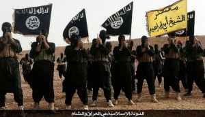 Islamic State of Iraq and the Levant (ISIL or ISIS)